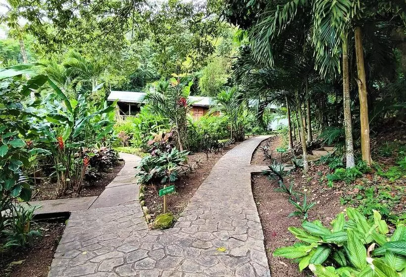 ホテル Maya Mountain Lodge