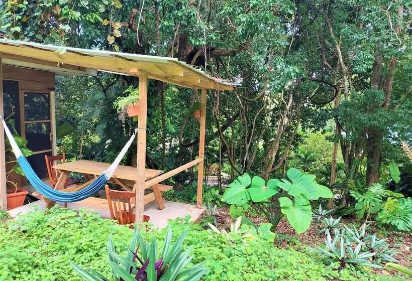 ホテル Maya Mountain Lodge