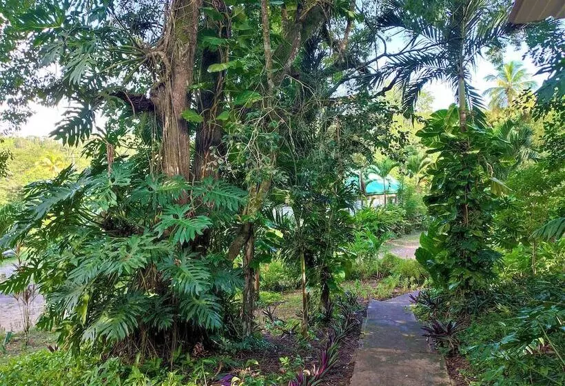 ホテル Maya Mountain Lodge