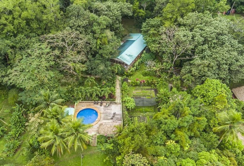 ホテル Maya Mountain Lodge