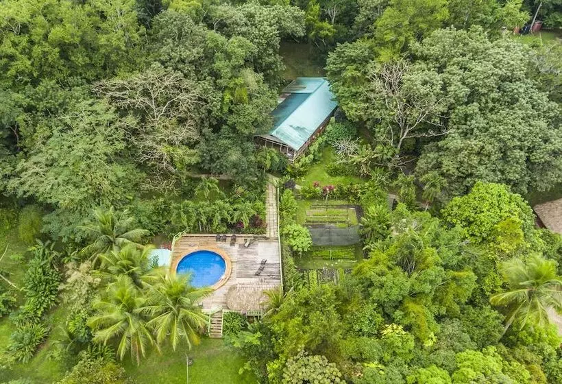 ホテル Maya Mountain Lodge