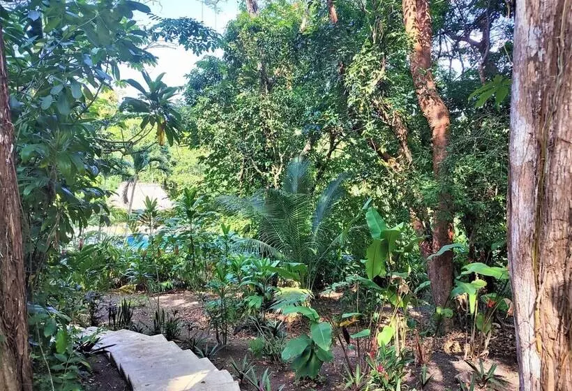 ホテル Maya Mountain Lodge