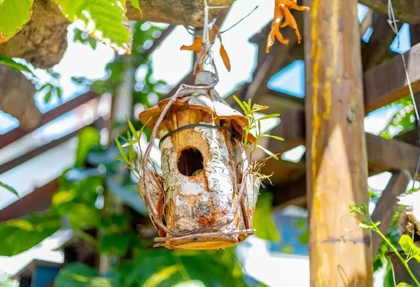 هتل Pousada Barroco Na Bahia
