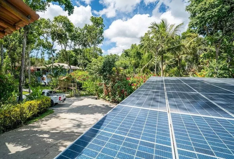 Отель Pousada Do Bosque