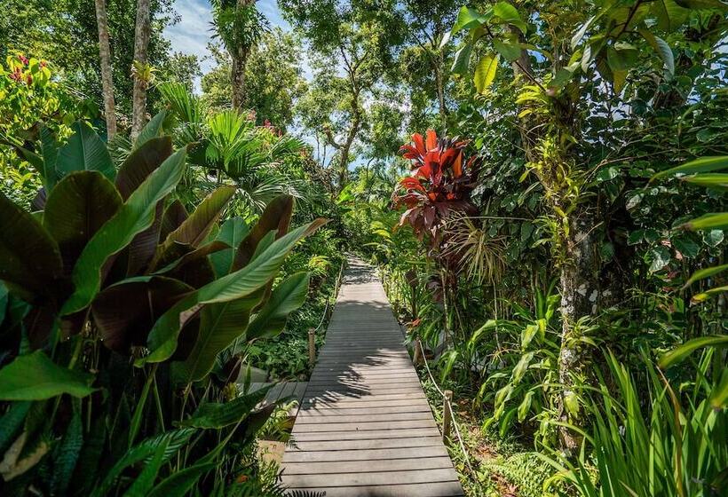 호텔 Pousada Do Bosque