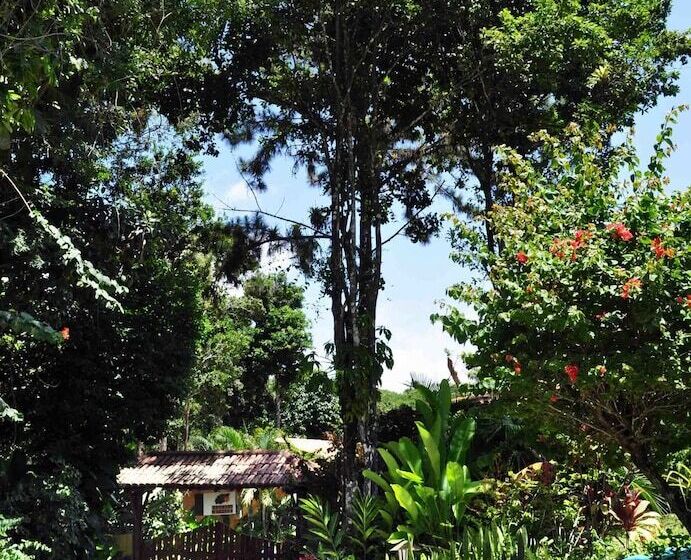 호텔 Pousada Do Bosque