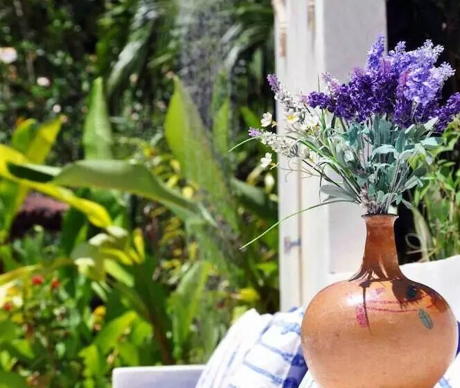 Отель Pousada Do Bosque