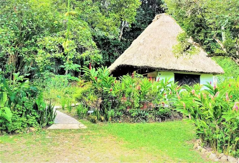 ホテル Maya Mountain Lodge