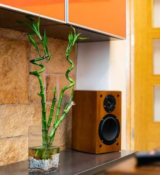 Piso Vacacional En La Playa De Rodeira