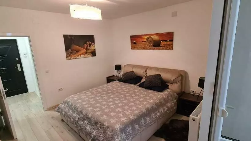 Apartament Cu 1 Camera Spatios ,luminos