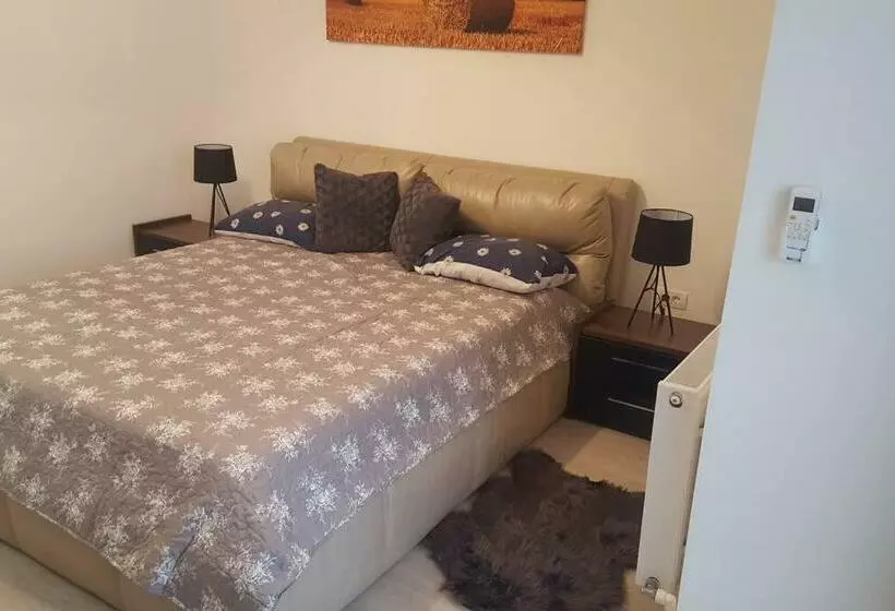 Apartament Cu 1 Camera Spatios ,luminos