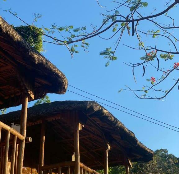 Rustique Rue Mabini   Hostel