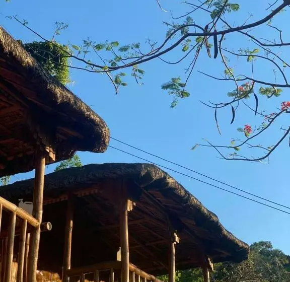 Rustique Rue Mabini Hostel