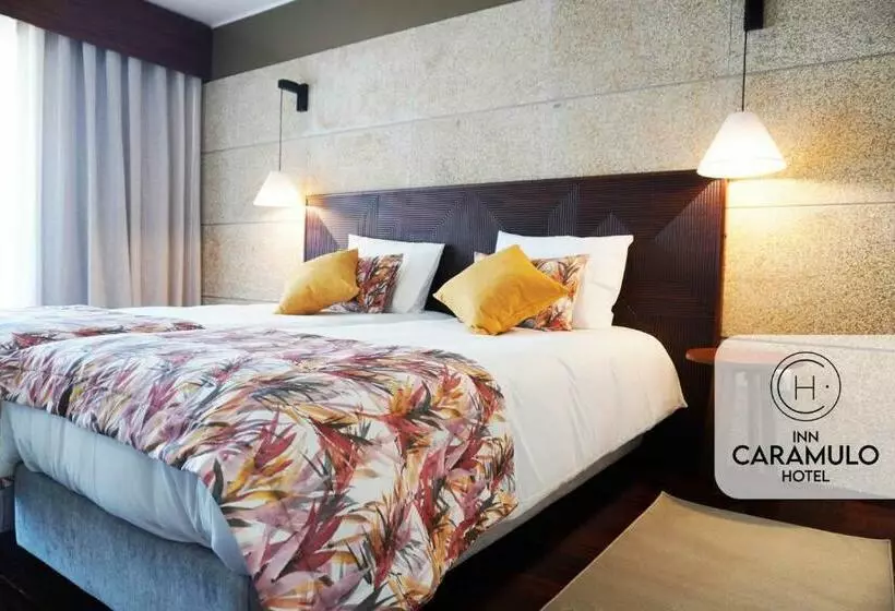 ホテル Inn Caramulo