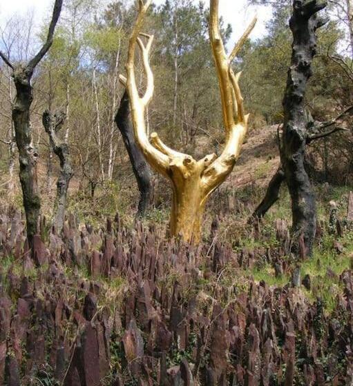 Mobil Home Au Coeur De Brocéliande