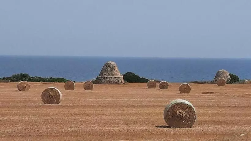 Aamiaismajoitus (B&B) Home Sweet Home