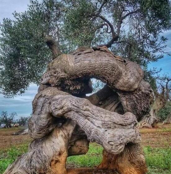 ベッドアンドブレックファースト Home Sweet Home