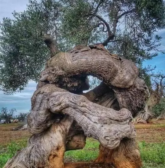 Aamiaismajoitus (B&B) Home Sweet Home