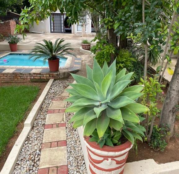 Bed & Breakfast The Catwalk Lodge