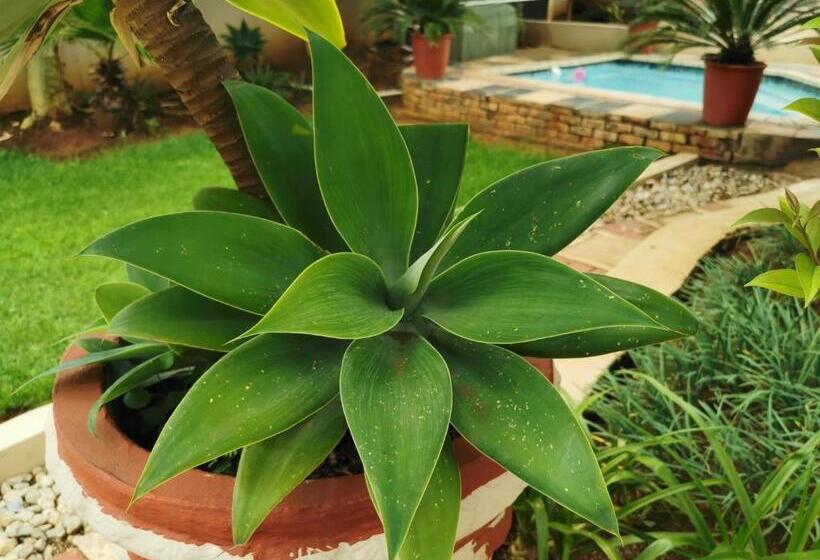 Bed & Breakfast The Catwalk Lodge