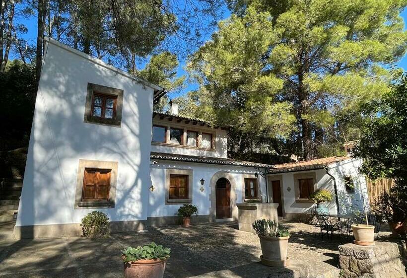 Finca Puig De Ses Llebres