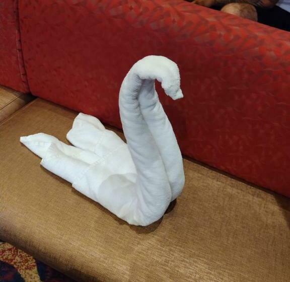 Bed & Breakfast Hostal Cabañas Vistamar