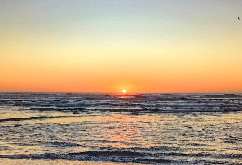 تختخواب و صبحانه Viento Bravo