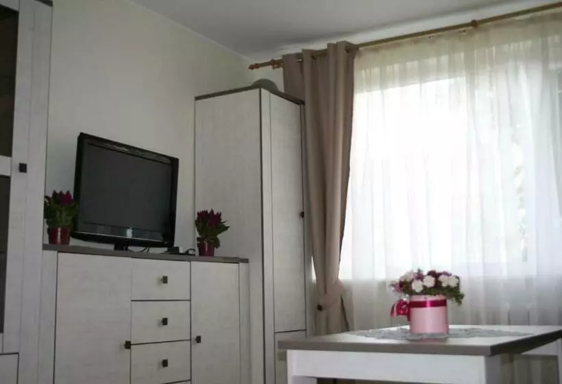 Cosy One Room Apartment
