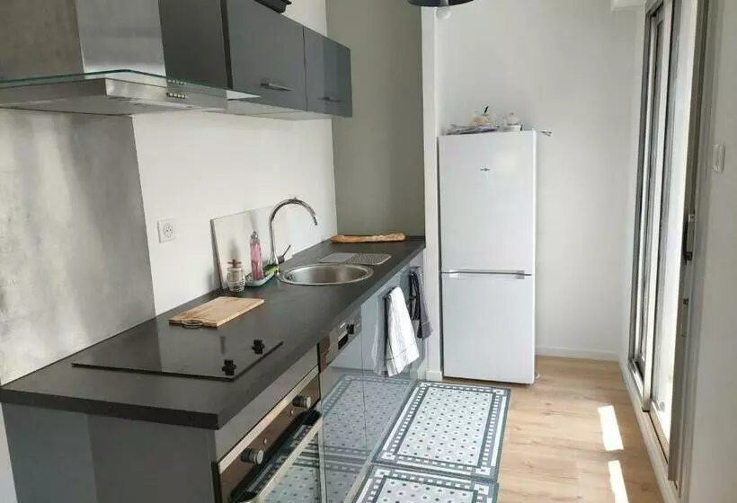 Logement Centre Sarzeau Golfe Du Morbihan France