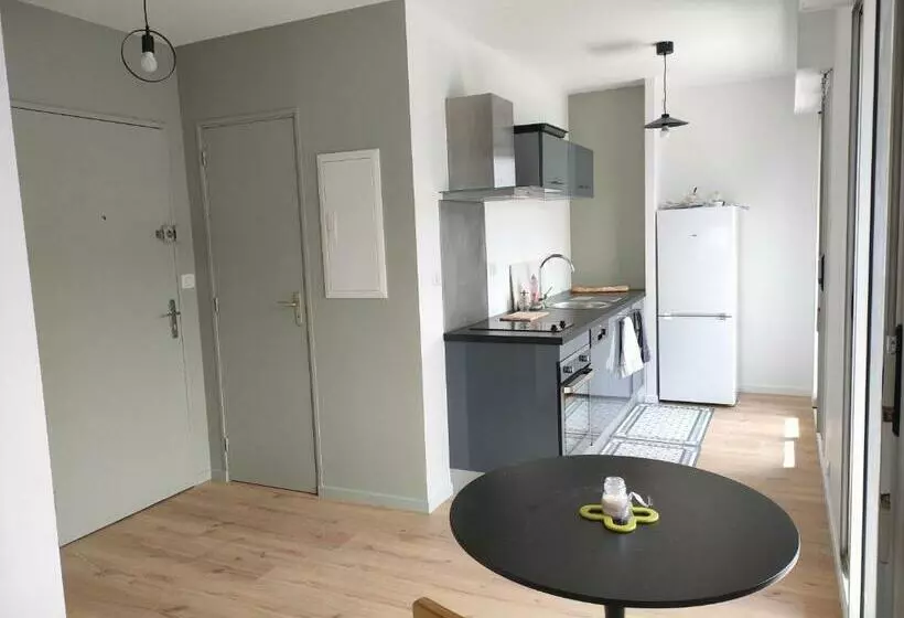 Logement Centre Sarzeau Golfe Du Morbihan France