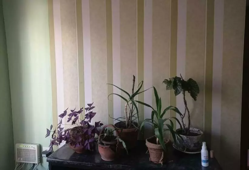 پانسیون House 56