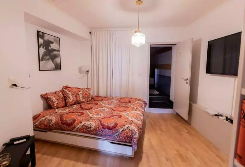 The One & Only In Sion