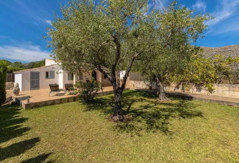 Villa Les Oliveres Petites De Un Dormitorio