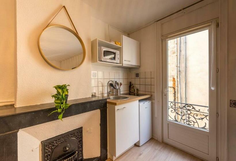 Charmant T2 En Plein Centre De Clermont L’hérault