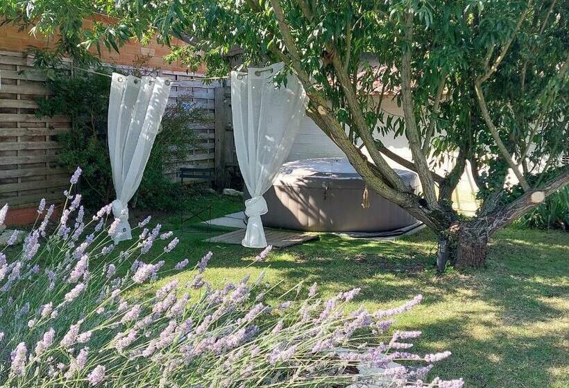 Les Belles Du Printemps