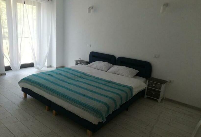 Pansiyon Casa Prieteniei Camere 3 Km Piatra Neamț