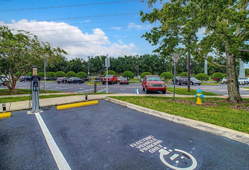 Pet Friendly In Orlando Area Near Disney