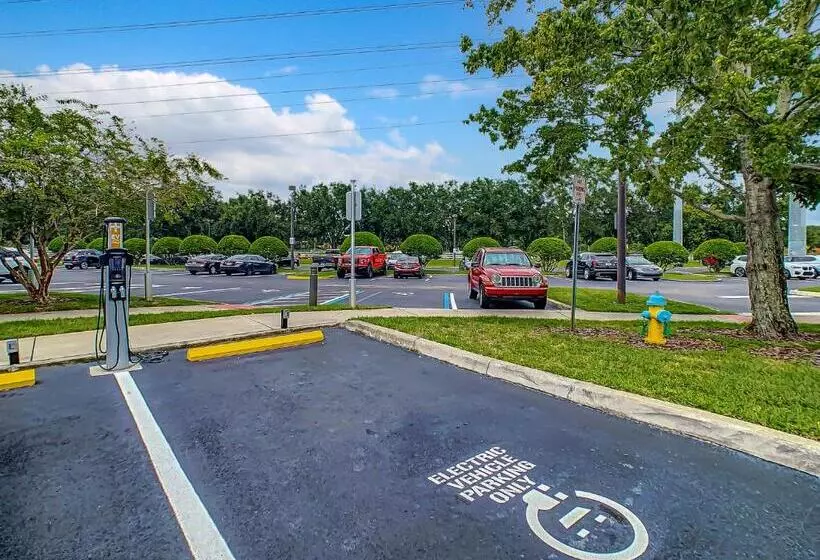 Pet Friendly In Orlando Area Near Disney