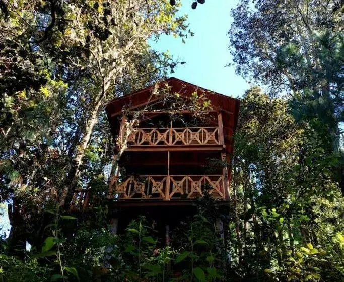 Cabaña En El Bosque De San José Del Pacífico 3