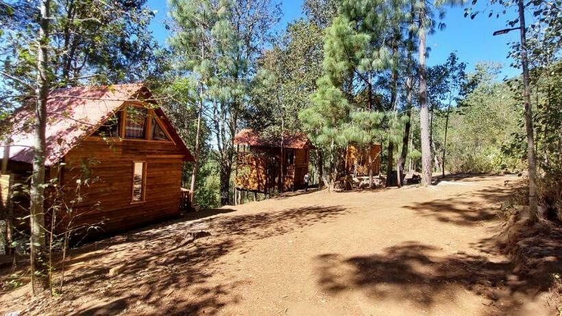 Cabaña En El Bosque De San José Del Pacífico 3