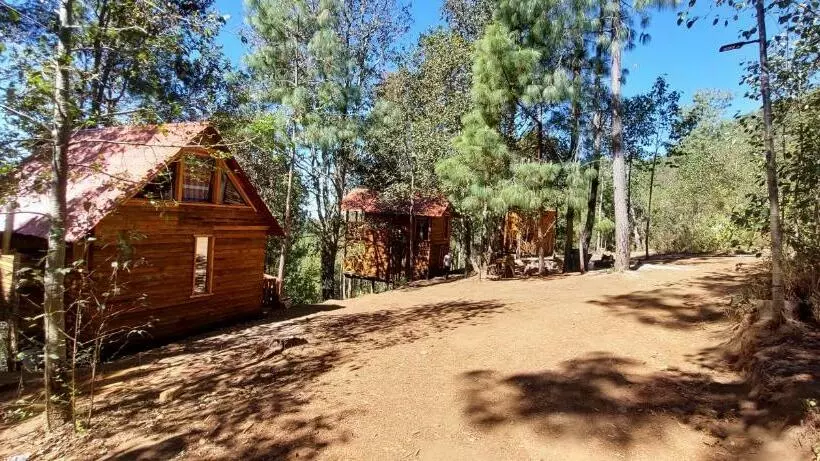 Cabaña En El Bosque De San José Del Pacífico 3