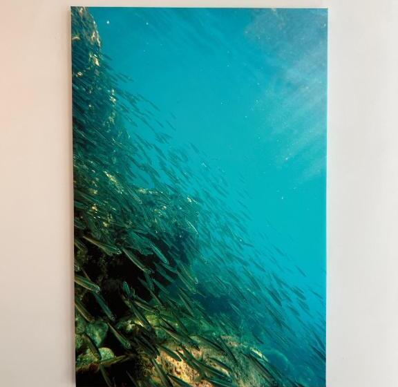 פנסיון Casa Adelaide