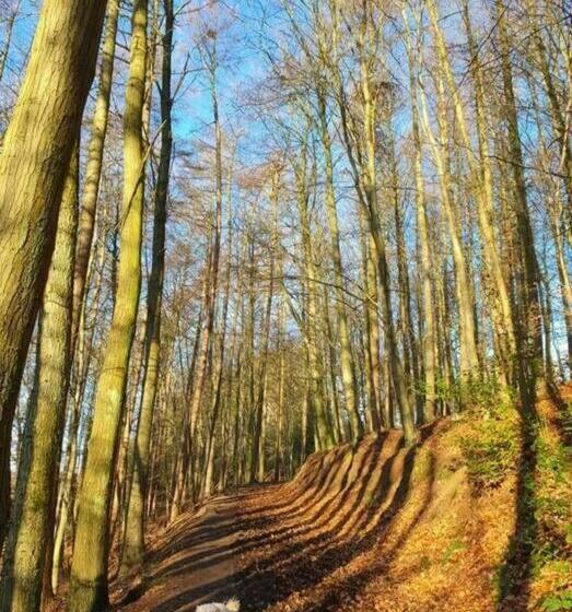 Sycamore Suite Is A Private Retreat With Log Fire