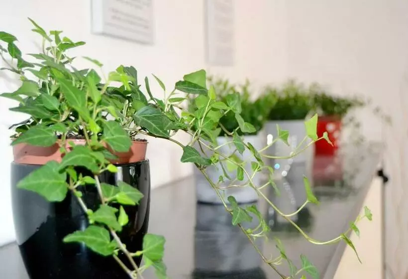 [centro Storico] Vulcano1, Bilocale Strategico Tra Milano, Como, Fiere