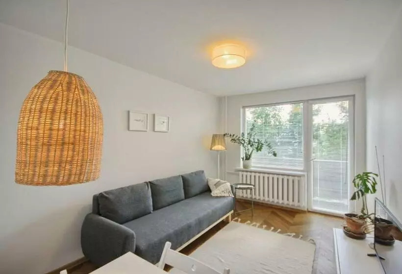 Modern And Cozy Flat