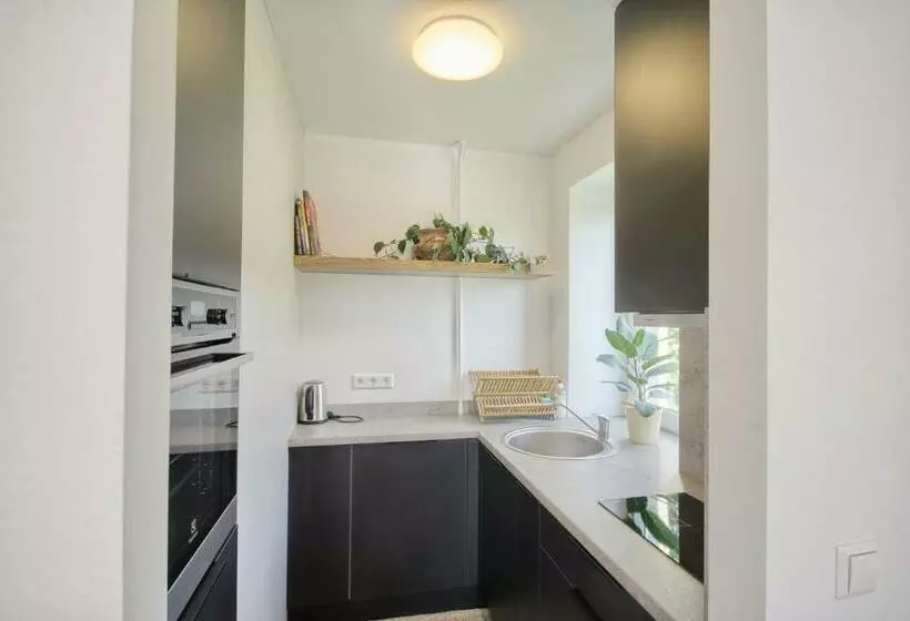 Modern And Cozy Flat