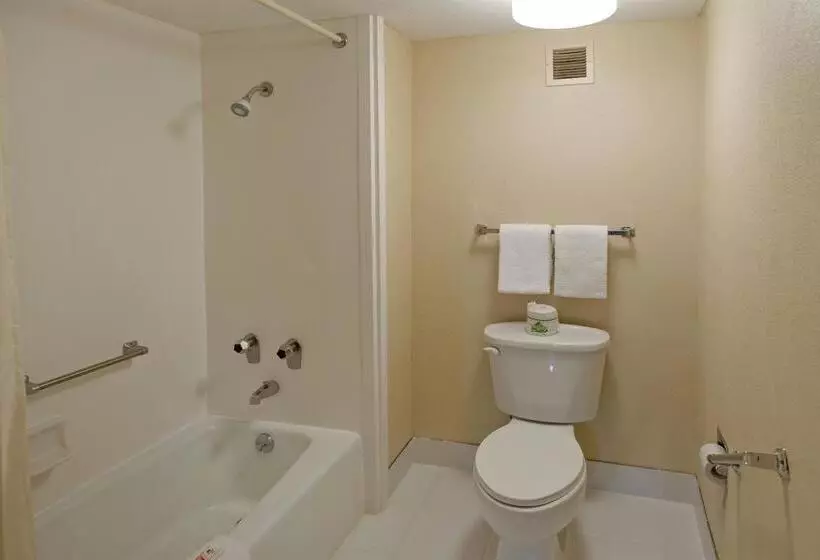 Отель Americas Best Value Inn Forest