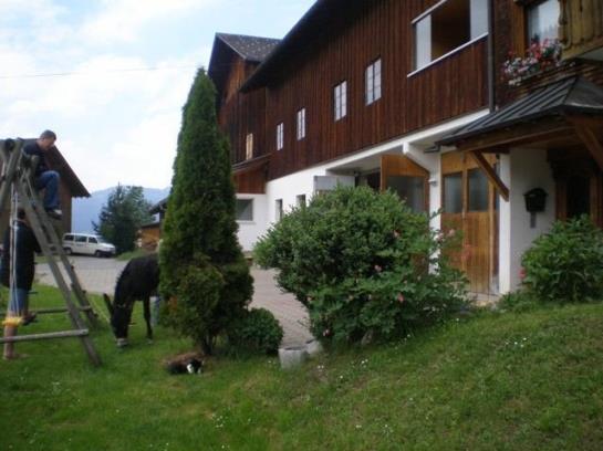 Bauernhof Sabine Waldner