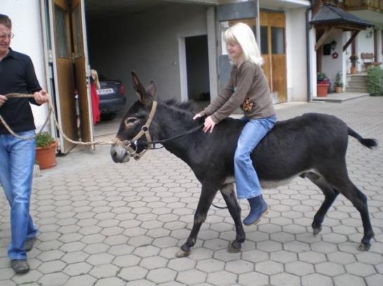 Bauernhof Sabine Waldner