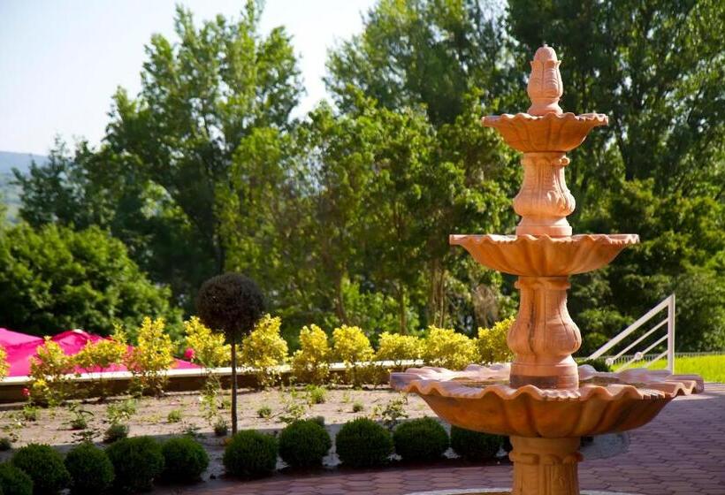 ホテル Bellevue Esztergom